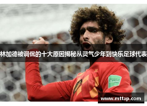 林加德被调侃的十大原因揭秘从灵气少年到快乐足球代表
