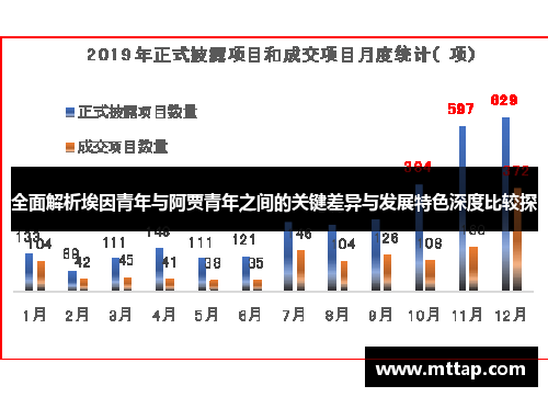 全面解析埃因青年与阿贾青年之间的关键差异与发展特色深度比较探